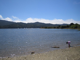 The view from the sitting area at Tomales Bay Oyster Co., CA